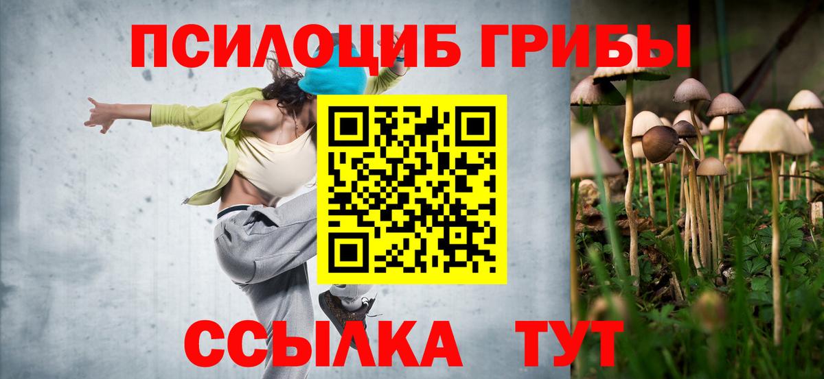 Галлюциногенные грибы прущие грибы Павлово