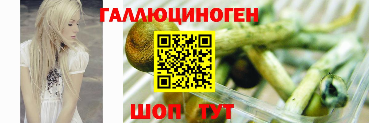 Галлюциногенные грибы прущие грибы  Вход с VPN  Псилоцибиновые грибы Psilocybe  купить наркоту  Павлово 