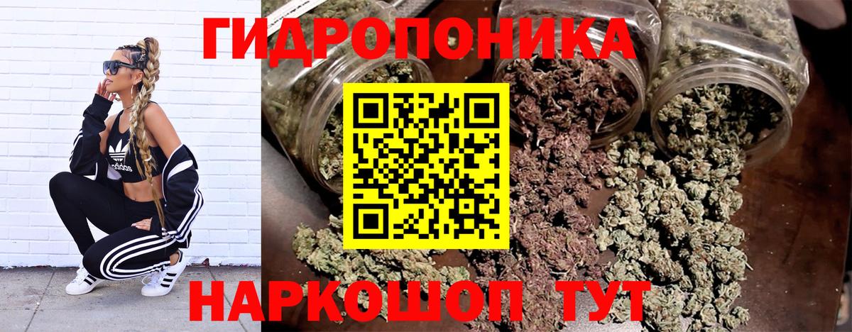 Каннабис Amnesia Павлово
